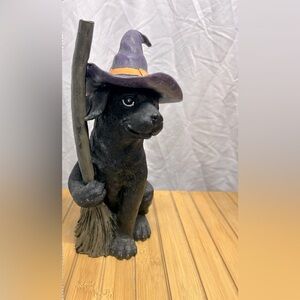 Halloween Dog with Witch hat and broom